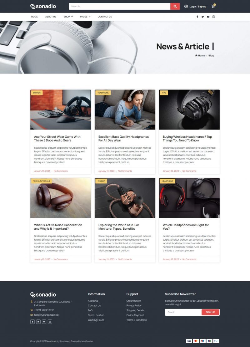 Audiostore E-Commerce Project - Image 7